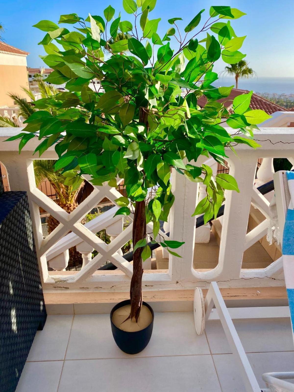 Passione Beautiful Apartment With Sea View Costa Adeje  Exterior foto